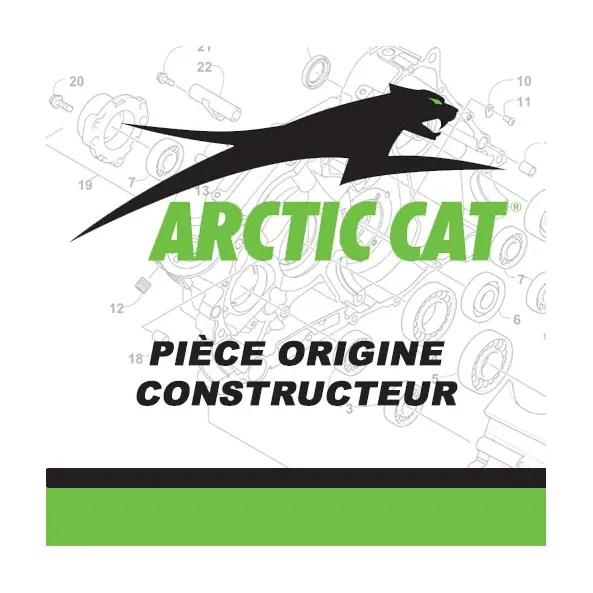 2402-247 - ARCTIC CAT RMCI,EURO