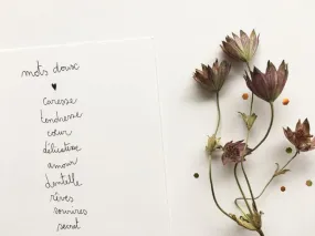 Carte "Mots Doux" illustration Papillonnage