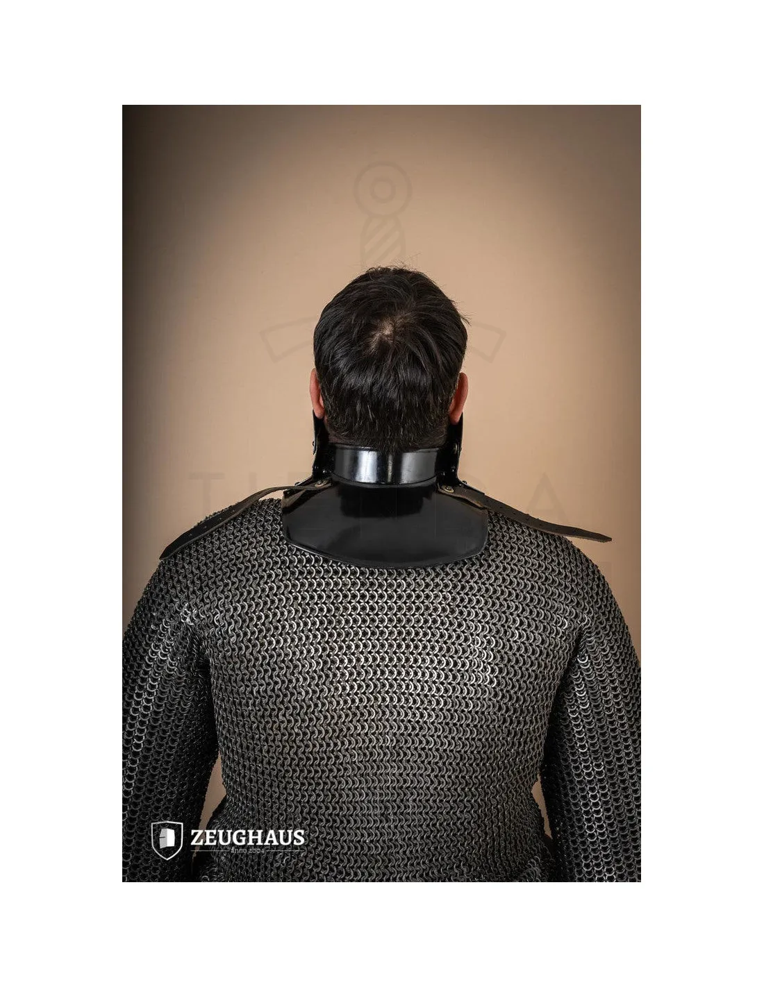 Gorgerin avec Bevor en acier doux foncé ⚔️ Boutique Épées