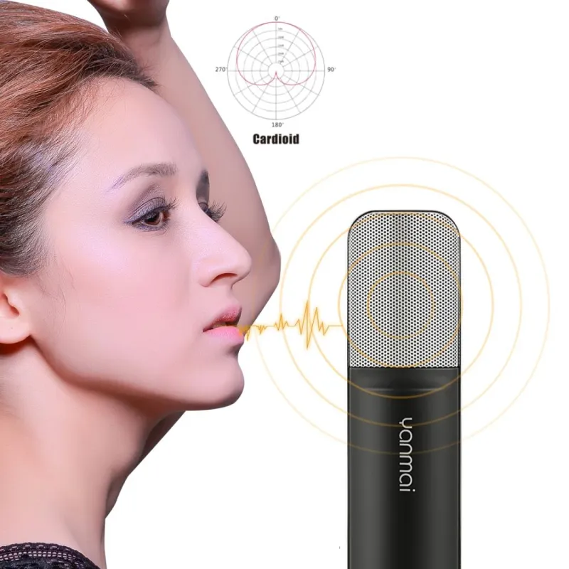 Microphone Professionnel Pour PC Mac Enregistrement Live